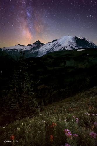 Milky Way over Mt. Rainier and wildflowers