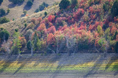 Fall colors on full display in Cache Valley, Utah