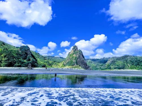 Te Henga Bethells Beach, West Auckland