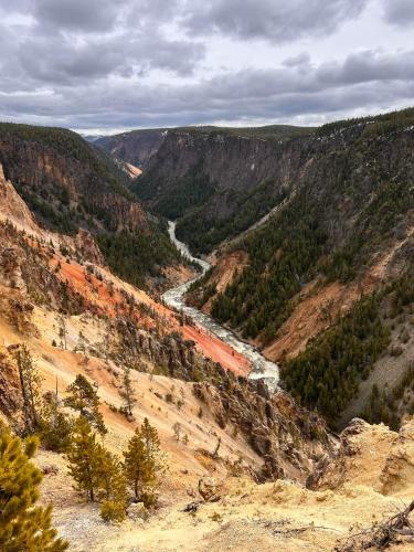 Yellowstone, USA