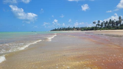 Paradise in Maragogi, Brazil