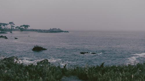 Last night's fog over Lovers Point. Pacific Grove, California.