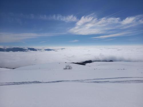 Stara Planina, Serbia  [4000 x 3000]