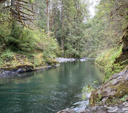 Duckabush river, Wa  OC