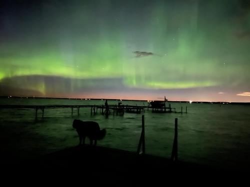 Aurora. Pigeon Lake Alberta