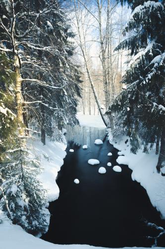 Do not fall into the freezing cold river on a sunny day in Central Finland [1440x2160] 