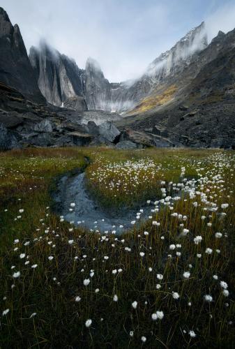 Autumn in the north is hard to beat. Northwest Territories, Canada