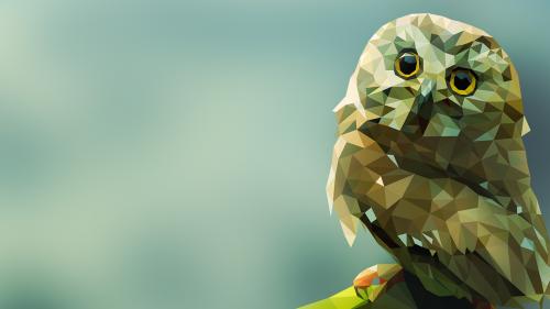 Polygonal Owl