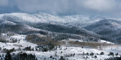 Colorado, USA, during a fresh snowfall