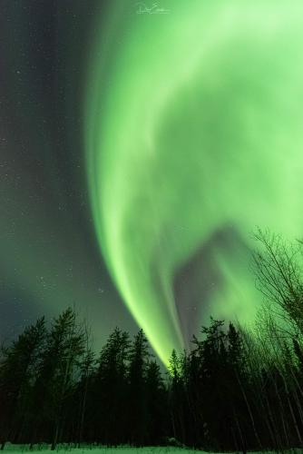 When I want to have a good night's sleep: Saskatchewan Aurora comes out