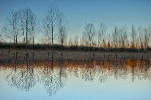 Shelby Bottoms Wetland, Nashville TN