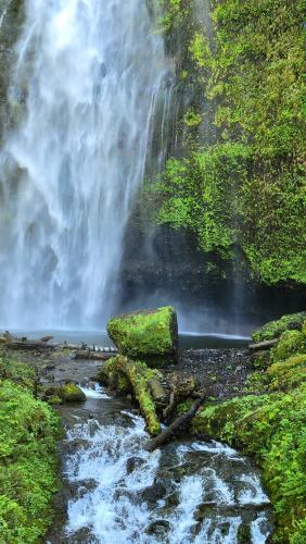 Multnomah Falls , Oregon