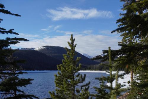 Somewhere in the vicinity of Estes Park, Colorado  OC