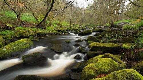 Beautiful River