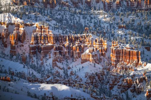 Fresh snow at Bryce Canyon National Park after a big snowstorm last week.