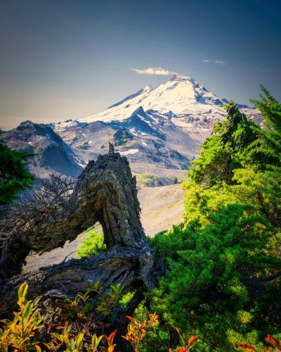 Mount Baker at the end of summer