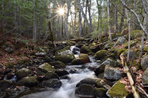 Maine or Middle Earth?