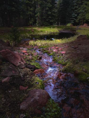 Hiking in the mountains. Colorado