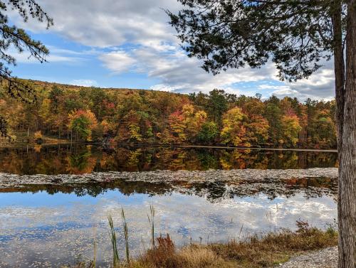 Peaceful Pond in Central Pennsylvania