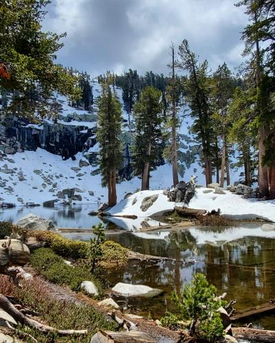 Dreamscape, Sequoia National Park, CA, USA