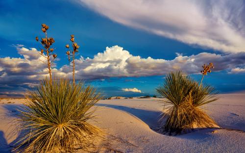 Sunset at White Sands National Park, New Mexico