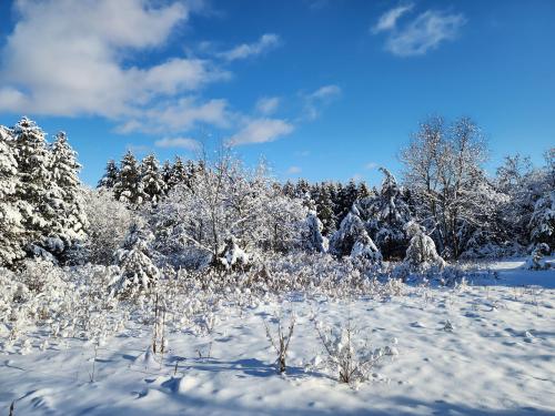 Wisconsin Winter Wonderland, St. Croix County, WI.