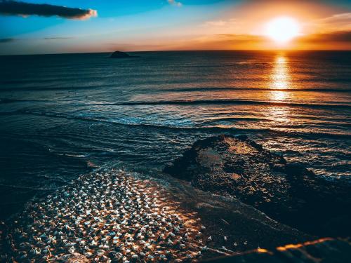 Muriwai Beach - Auckland NZ.