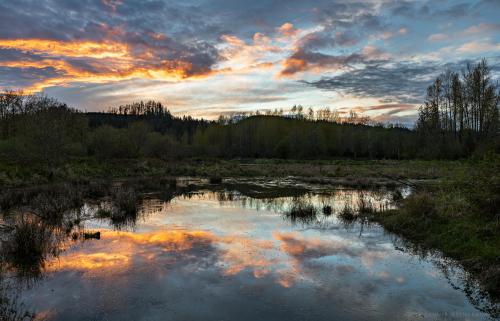 After a day of rain and gropple, the storm finally broke at sunset. Snoqualmie Valley, WA  @dendronaut