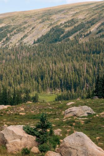 Isabelle Glacier Trail, CO  3648 x 5472