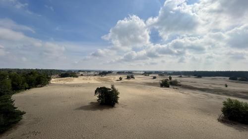 Zandverstuiving - Kootwijkerzand - The Netherlands  -