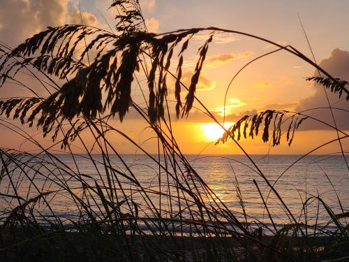 Flordia Beach Sunrise