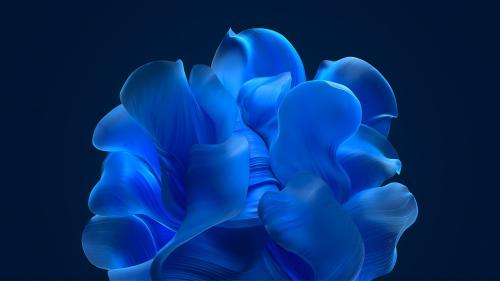 Windows 11 Blue Abstract Bloom