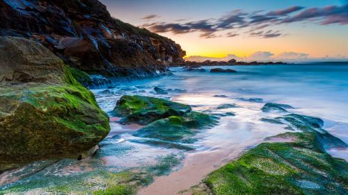 Curl Curl Beach Sunrise