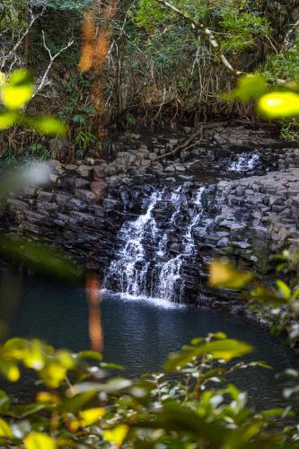 Waterfall in Maui, Hawaii