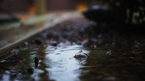 A little bit of rain in Mesa, AZ.