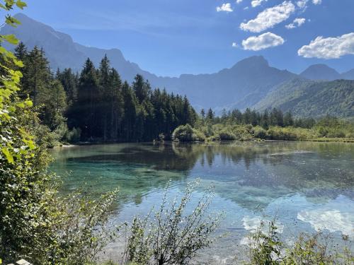 Almsee, Upper Austria