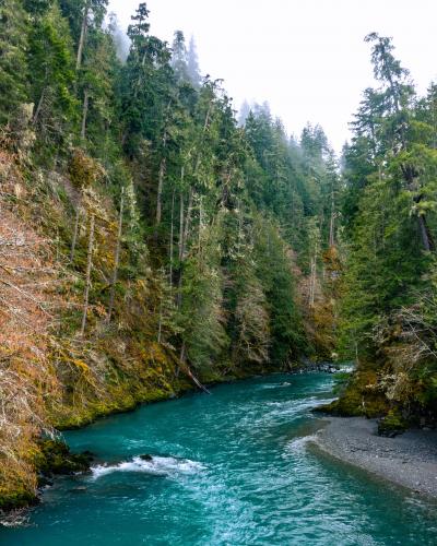 The beautiful colors of the Elwha River in Olympic National Park, WA