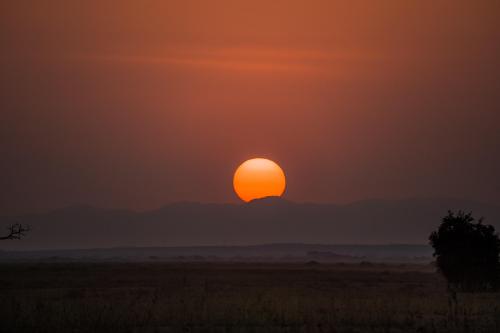 African Sunrise, Maasai Mara