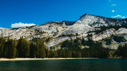 Trees and Mountain Near Body of Water