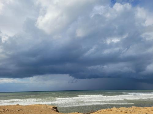 Approaching Storm
