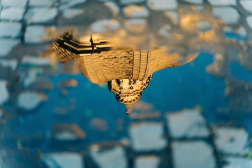 Puddle in Rome