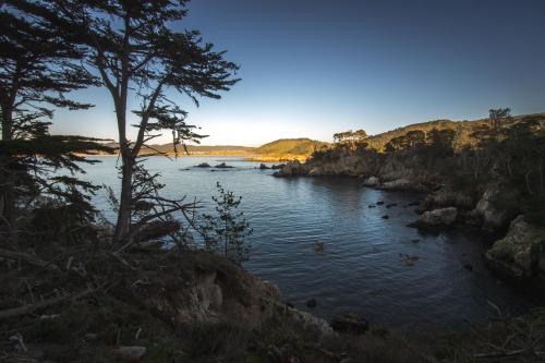 Whaler's Cove. Point Lobos State Natural Reserve. Carmel-By-The-Sea CA.