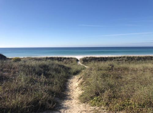 Panama City Beach, Florida. My path to happiness 🌴