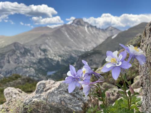 Another Colorado photo! Flattop Mountain, Estes Park, CO USA