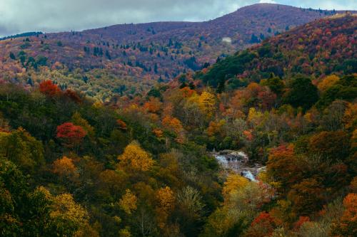 Graveyard Fields, NC