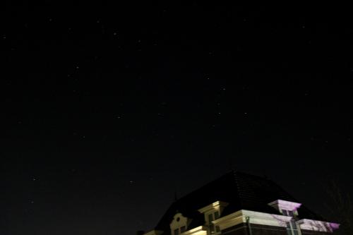 Stars during a night walk