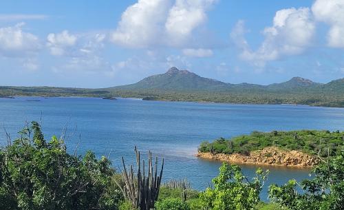 Bonaire Washington Slagbaai National Park