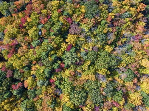 Fall from above, The Berkshires, MA