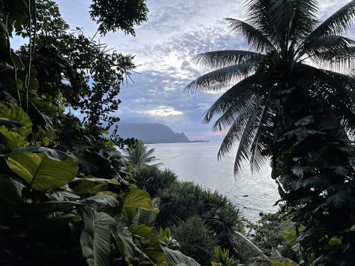 The lushness of Kauai, Hawai’i