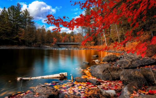 Smell the river and feel the sky